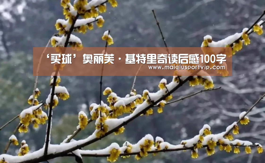 买球app官网
